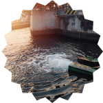 productos biologicos para el tratamiento de efluentes riles- aguas servidas tratamiento